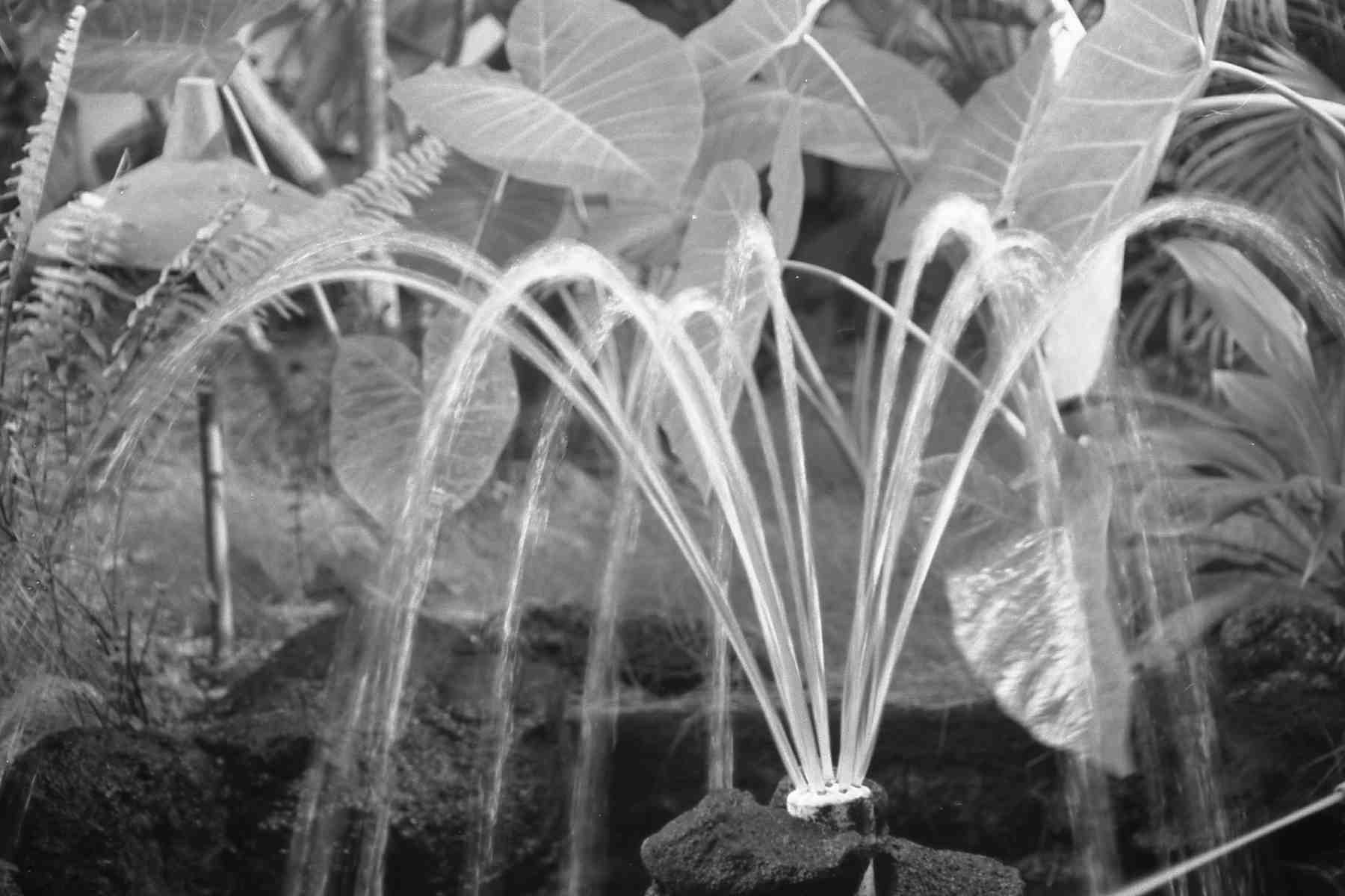 Smoothing the water feature